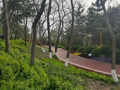 -燕儿岛山公园