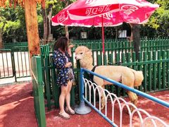 -无锡动物园·太湖欢乐园