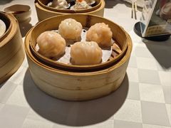 -春满园·早茶·粤菜·宴会(粤海店)