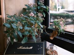 -ZM COFFEE(西安路店)