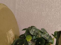 -古真记钵钵鸡(总店)