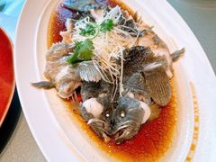 -一麦·龙岛(上海青浦店)