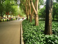 -长春公园(普阳街道)