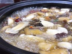 -菌之家·专业纯野生菌火锅·特色炒菌