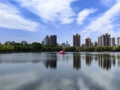 -莲花池公园