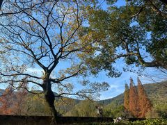 -兰亭风景区