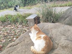 -华东政法大学(松江校区)