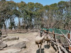 -宁波野生动物园