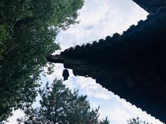 -张掖大佛寺景区