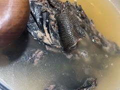 客家黑鸡汤-黑鸡小馆(金源店)