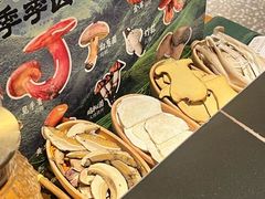 -芸山季·云南山珍菌火锅(南翔印象城MEGA店)