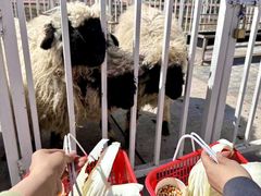 -水上乐园·欢乐世界