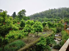 -井冈山风景名胜区