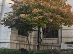 -新世界百货(明洞总店)