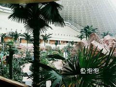 -青岛海泉湾度假区温泉