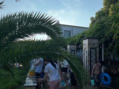 -碧海金沙