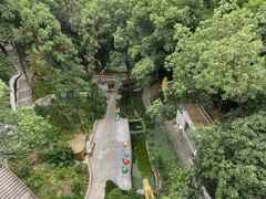 -南山植物园