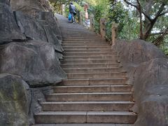 -梧桐山风景名胜区