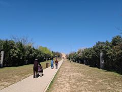 -明秦王墓遗址
