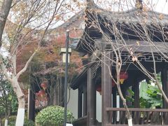 -武汉园博园(武汉自然博物馆)