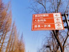 -太阳岛度假酒店