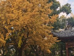 -汇龙潭