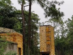 -象山森林公园