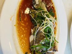 -天天渔港(杏林街店)