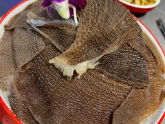 -生活如沸·顺德水牛奶火锅(大学路店)
