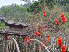 -广东天露山旅游度假区