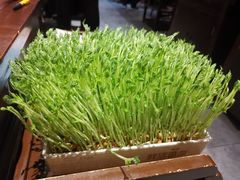 有机豆苗-捞神煲汤火锅(湖滨商业街店)