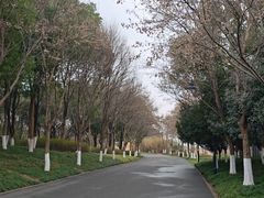-东湖落雁景区