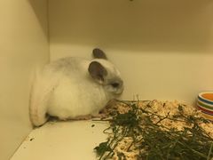 -龙猫仔乐园(惠福东路店)