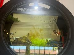 -陶野咖啡·面包披萨