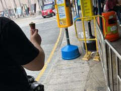 -富豪雪糕车流动点(尖沙咀店)