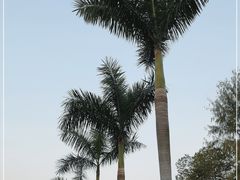 -广州市白云山风景名胜区