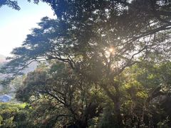 -云洞岩风景区