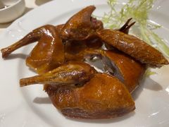 -凤凰楼酒家·粤宴点心(华强北店)