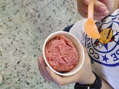 -iceason爱茜茜里·意大利健康冰淇淋(骑龙巷店)
