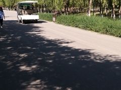 -西青郊野公园