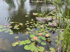 -金银湖国家城市湿地公园