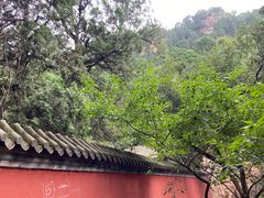-仙居谷风景区