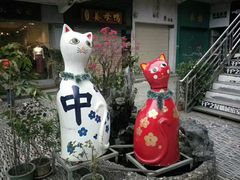 -猫咪博物馆(顶澳仔猫街店)