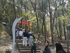 -云龙山