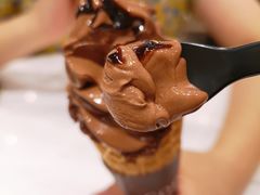 经典巧克力软冰淇-GODIVA(王府井apm店)