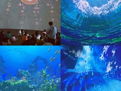 -海合安青岛极地海洋公园