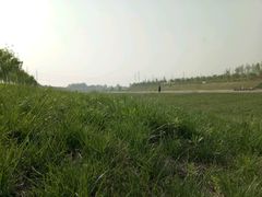 -洨河生态公园