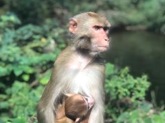 -重庆雨台山风景区