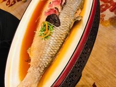 -皇朝尊会(龙之梦大酒店)