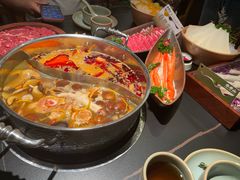 -季季山·云南野生菌火锅(上海首店)